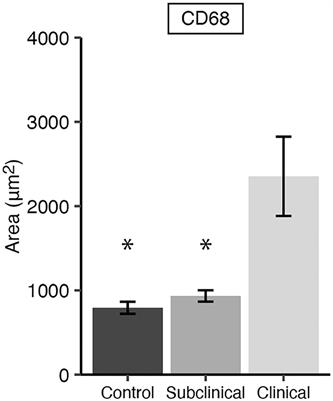 Stage of infection with Mycobacterium avium subsp. paratuberculosis impacts expression of Rab5, Rab7, and CYP27B1 in macrophages within the ileum of naturally infected cows